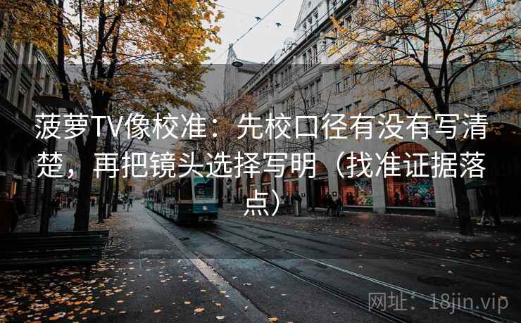 菠萝TV像校准:先校口径有没有写清楚,再把镜头选择写明(找准证据落点)