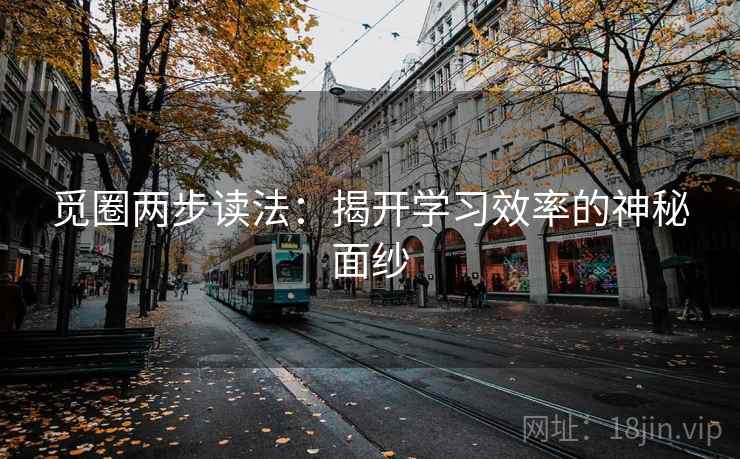 觅圈两步读法：揭开学习效率的神秘面纱