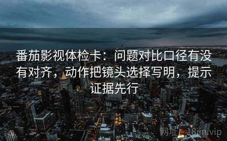 番茄影视体检卡：问题对比口径有没有对齐，动作把镜头选择写明，提示证据先行