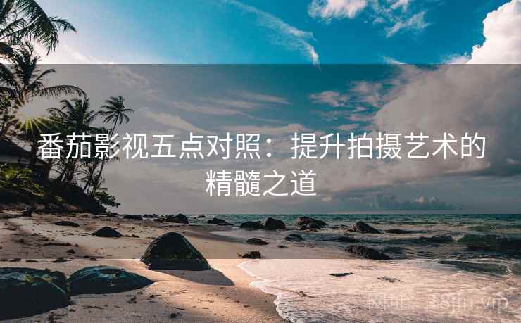 番茄影视五点对照：提升拍摄艺术的精髓之道  第2张